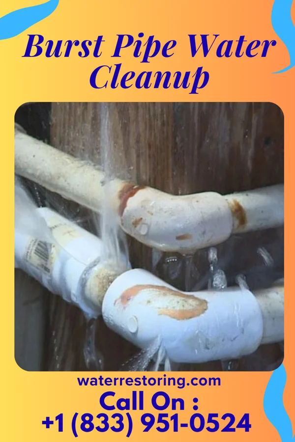 Burst Pipe Water Cleanup in Brookport, IL