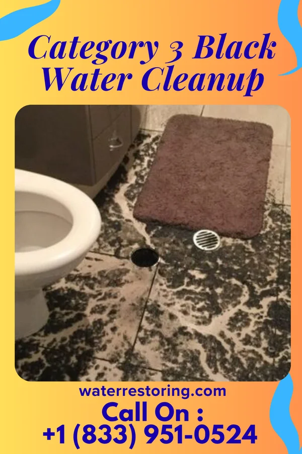 Category 3 Black Water Cleanup in Brookport, IL