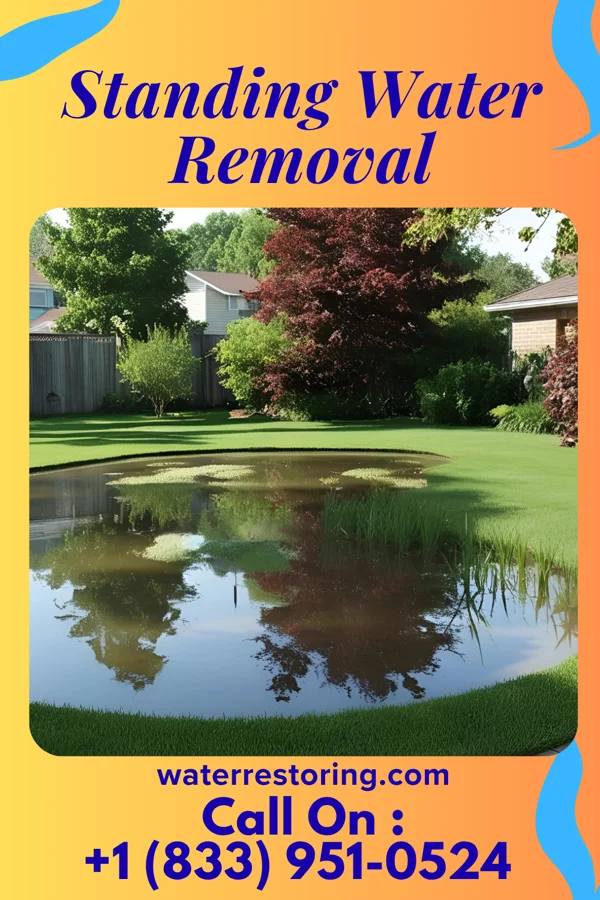 Standing Water Removal in Brookport, IL
